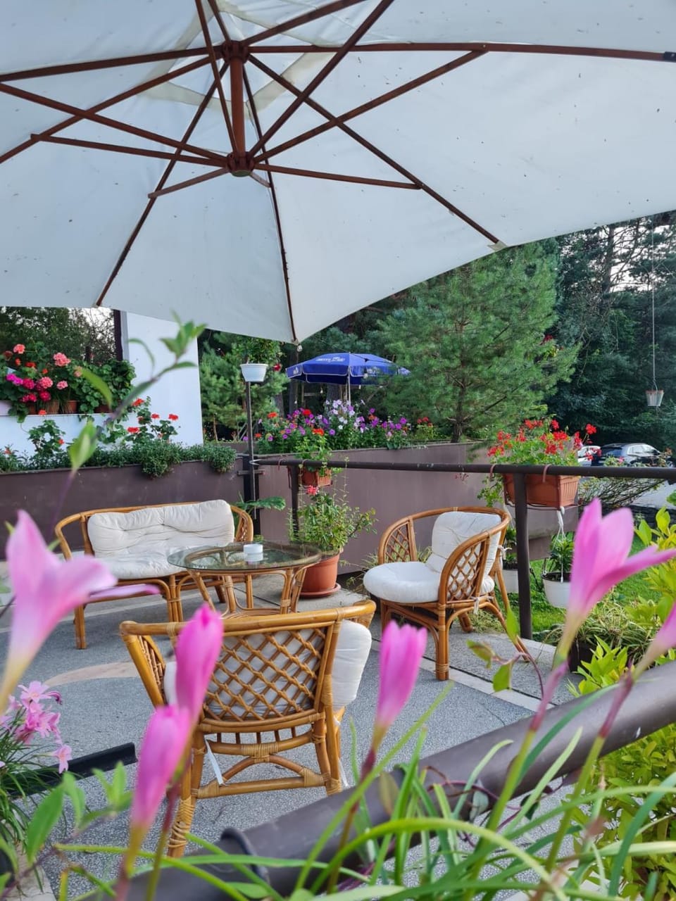 Randunica Hotel in Timiș County