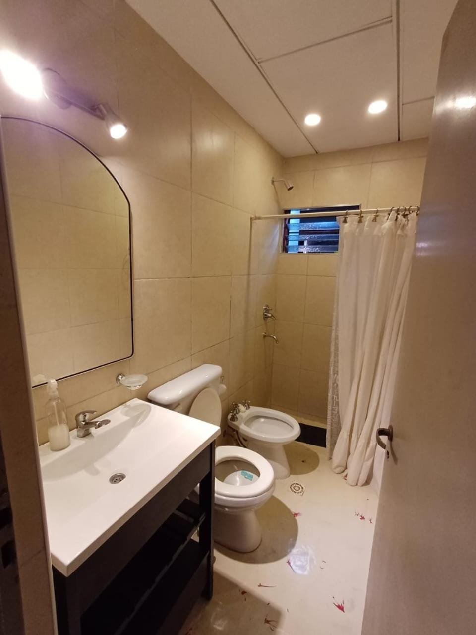 Shower, Toilet, Bathroom, bidet