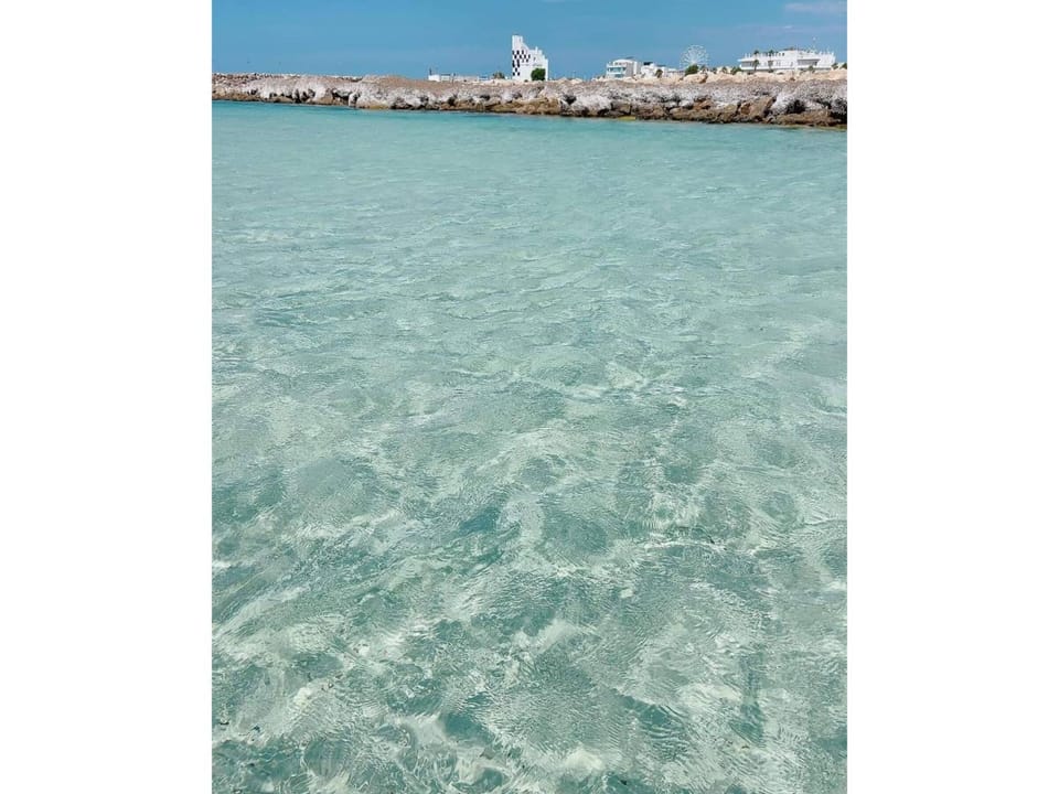 Natural landscape, Other, Beach