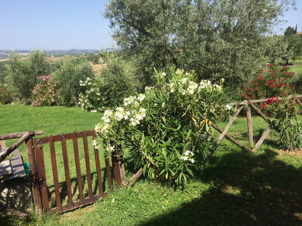 Agriturismo San Marco Farm Stay in Umbria