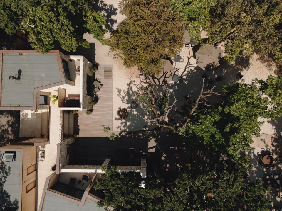 Day, Bird's eye view