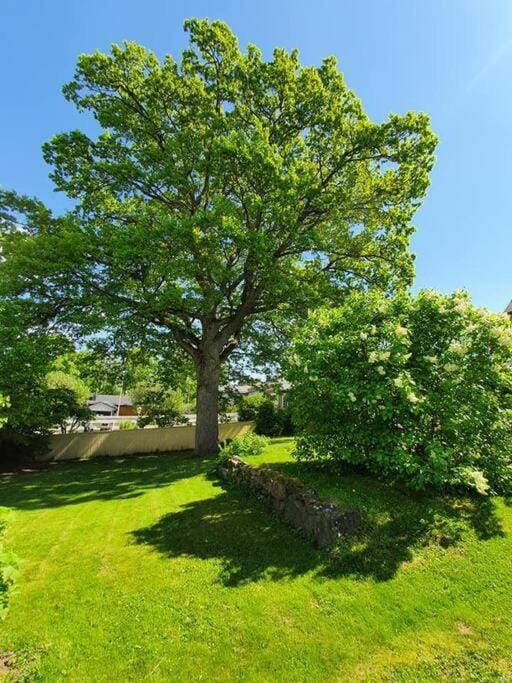 Garden, Garden view