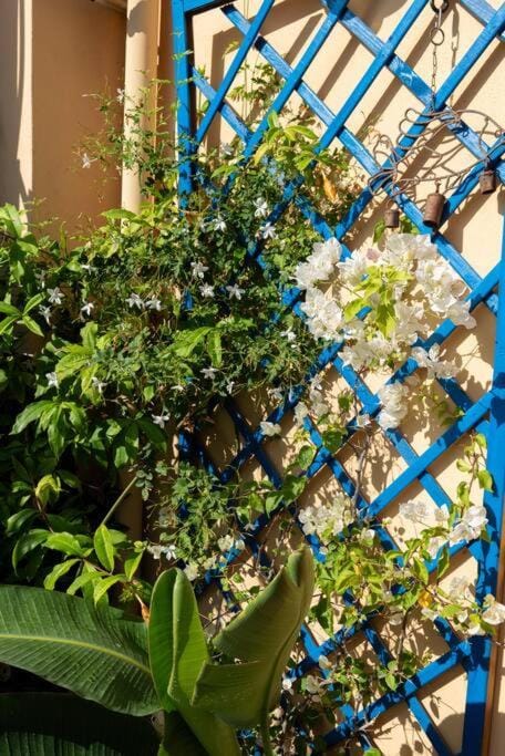 Bella Vista Sant Orsula 2 bedroom View Terrace Historic Center Spacious Apartment Apartment in Sicily