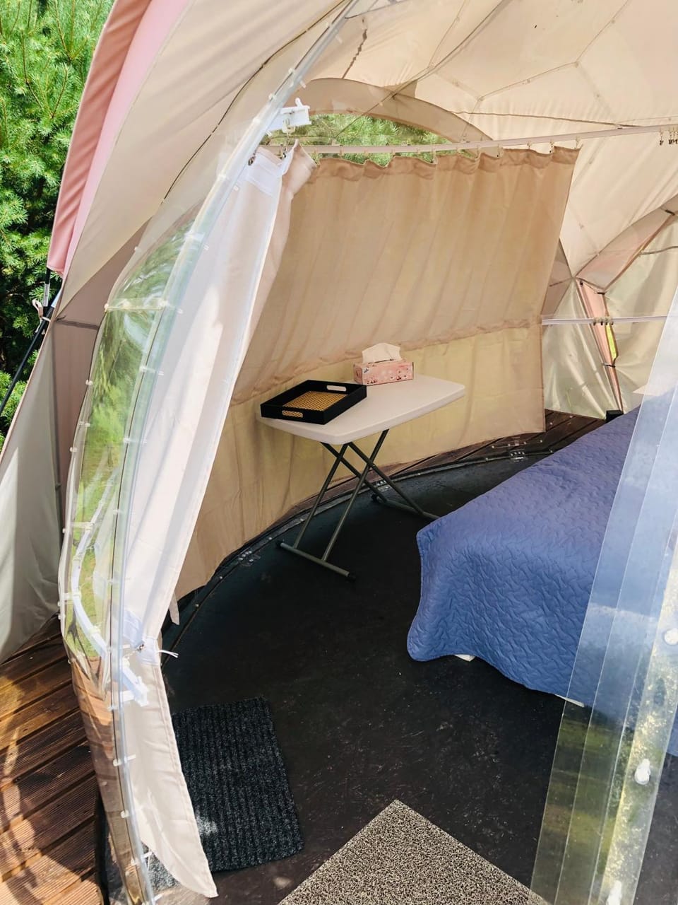 Bed, Day, Photo of the whole room