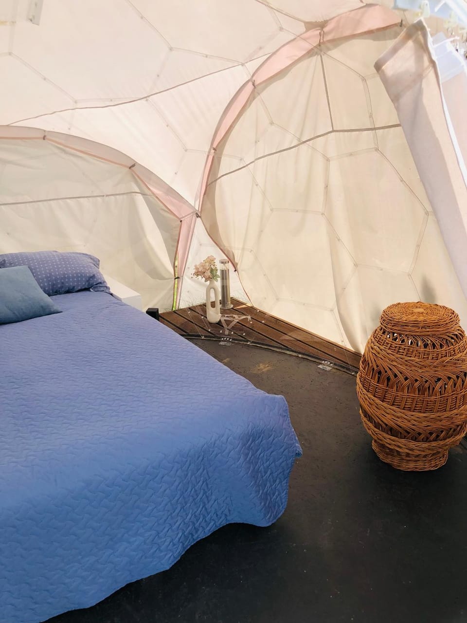 Bed, Photo of the whole room