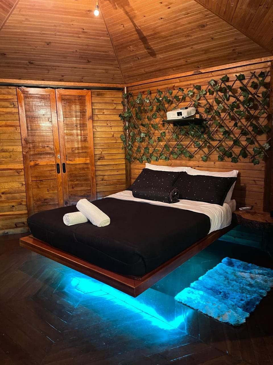 Bed, Photo of the whole room