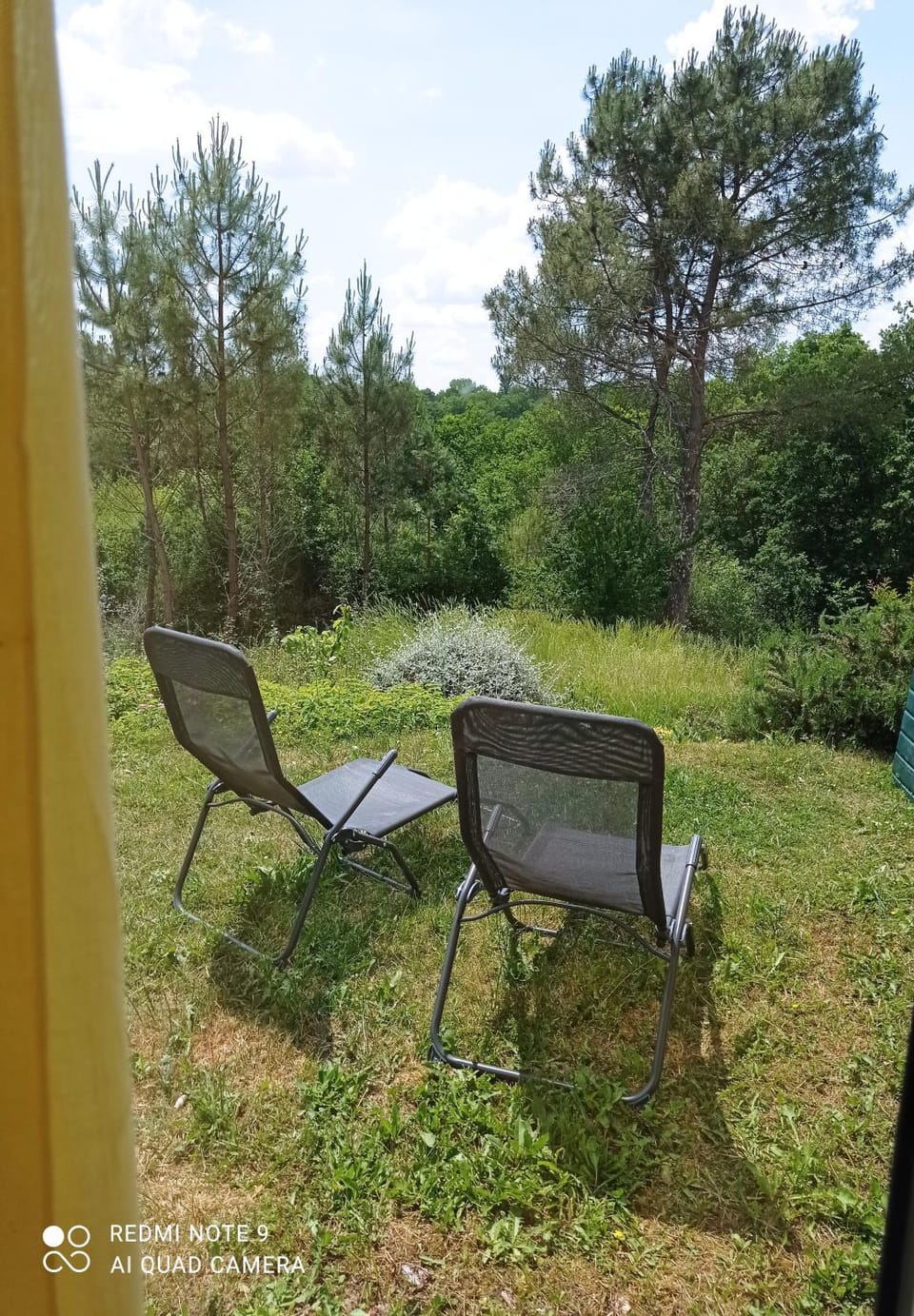 Natural landscape, Garden view