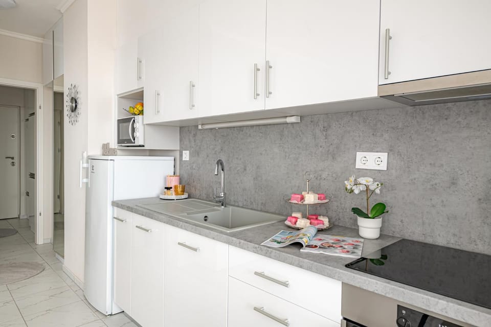 Kitchen or kitchenette, dishwasher, stove