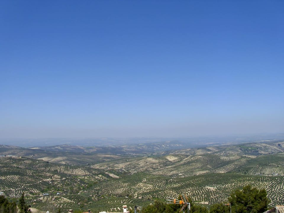 Mountain view