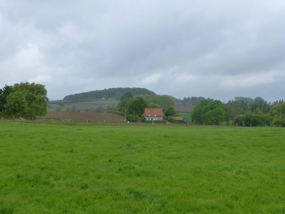 View (from property/room), Area and facilities