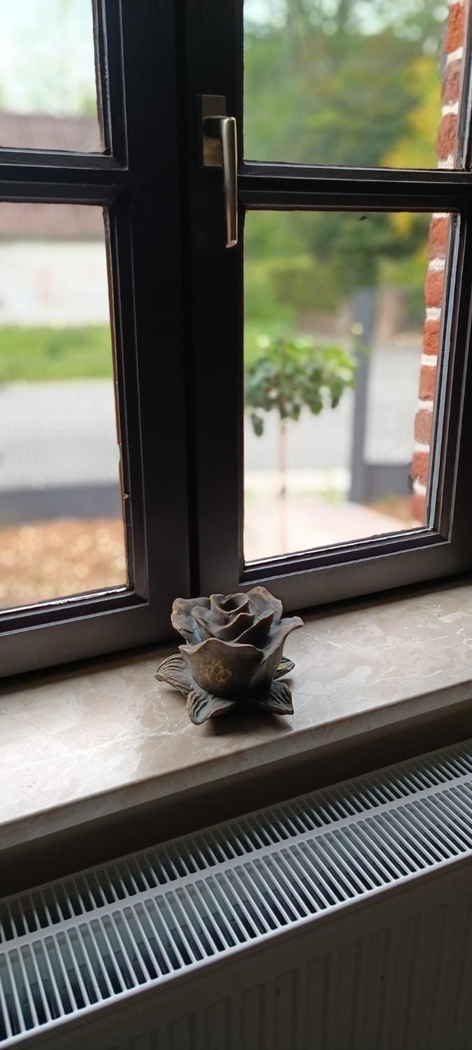 Les roses d'Olga House in Belgium