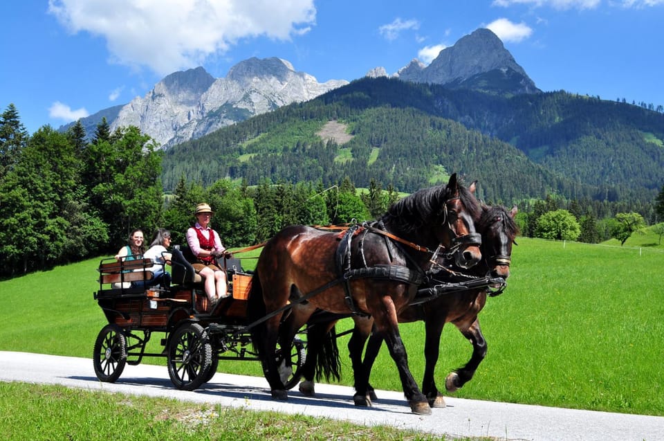 Natural landscape, Horse-riding, Animals, Mountain view