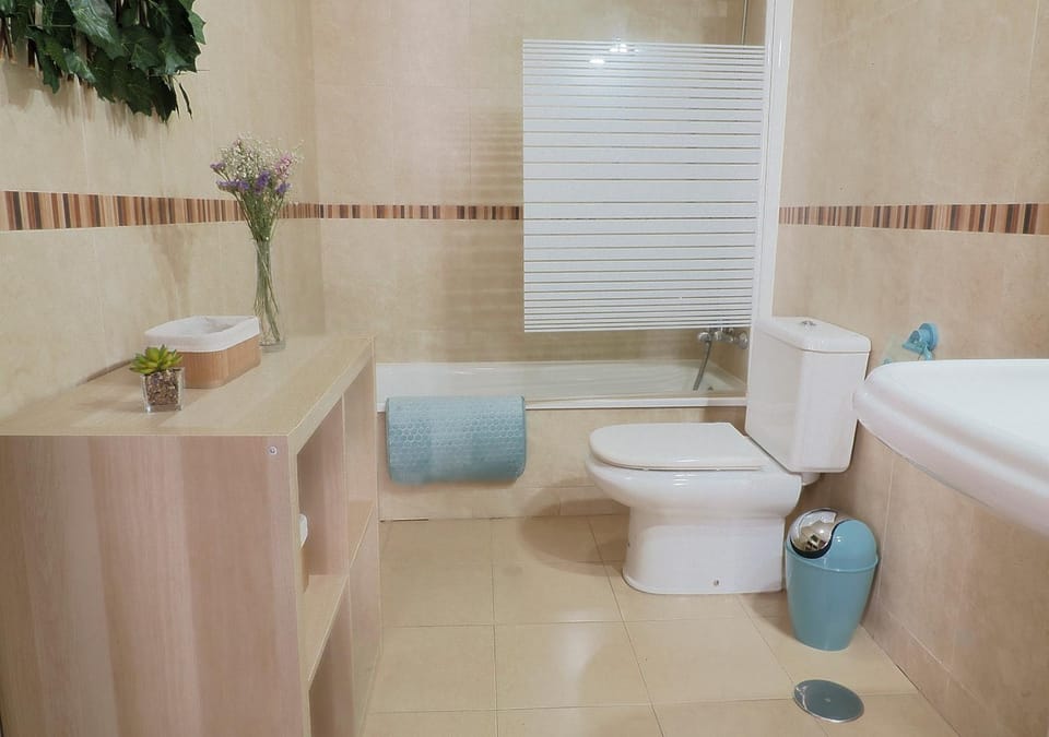 Toilet, Bathroom, Bath