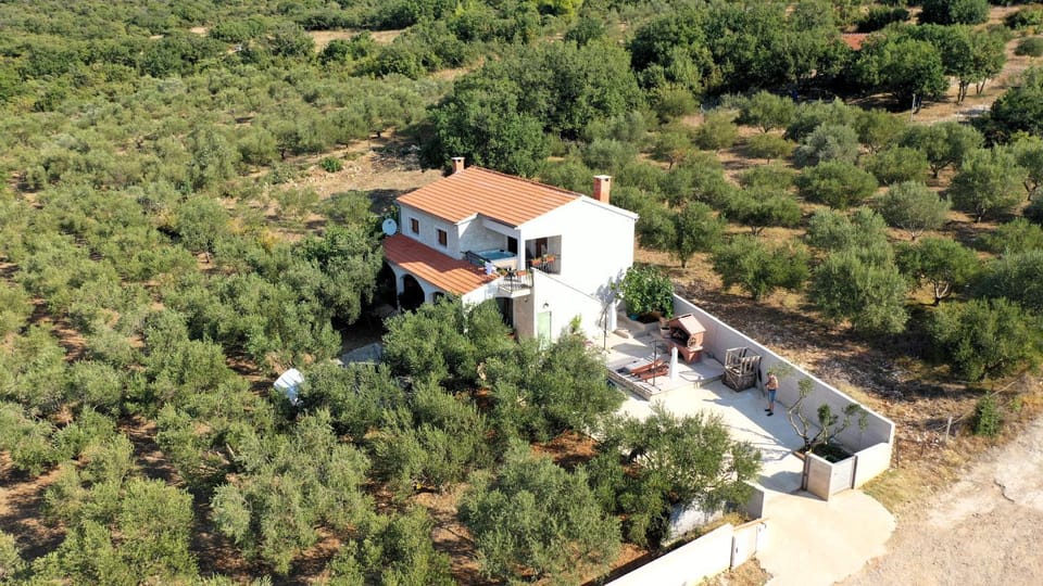Olive garden Platinum, Posedarje Villa in Zadar County