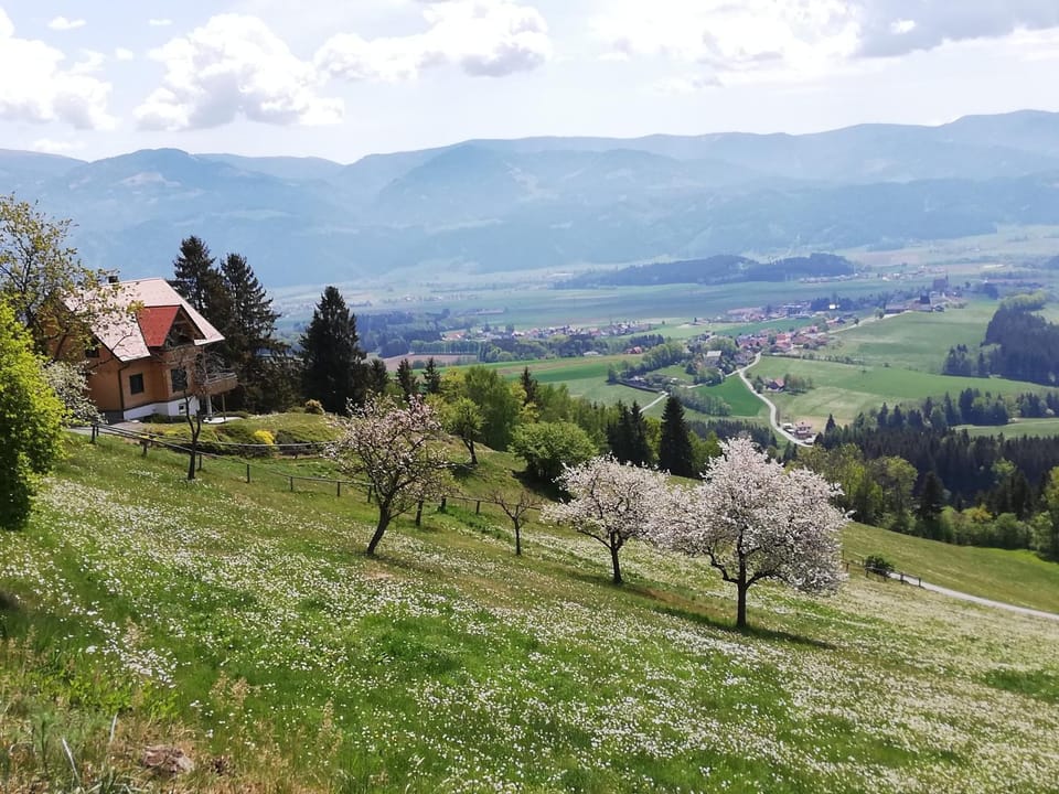 Spring