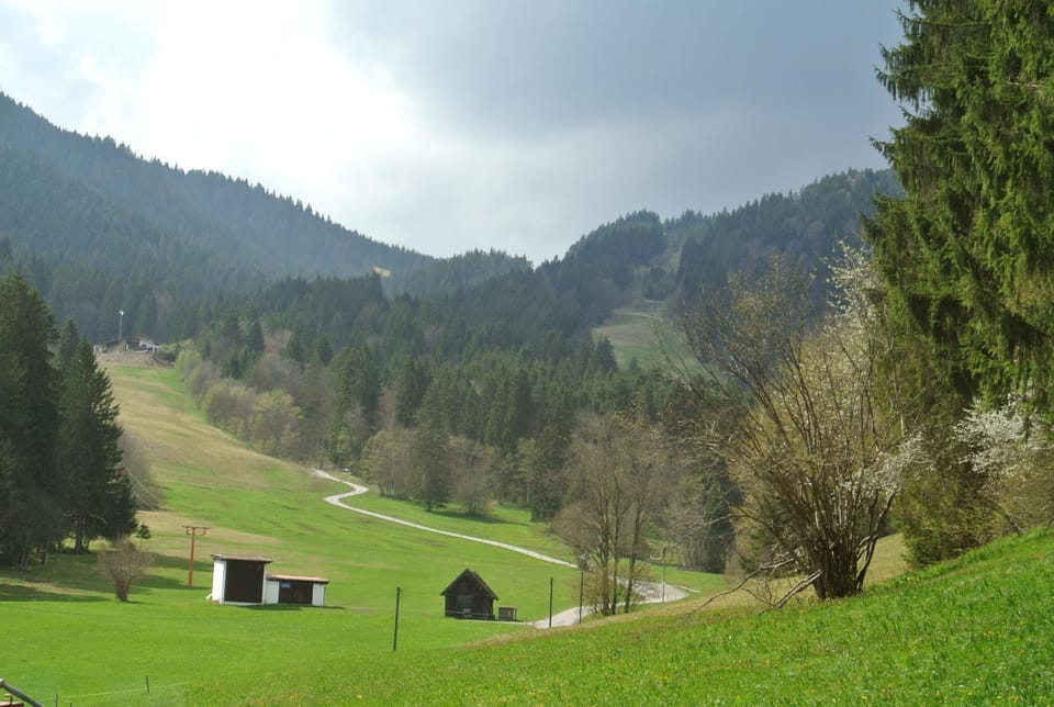 View (from property/room)