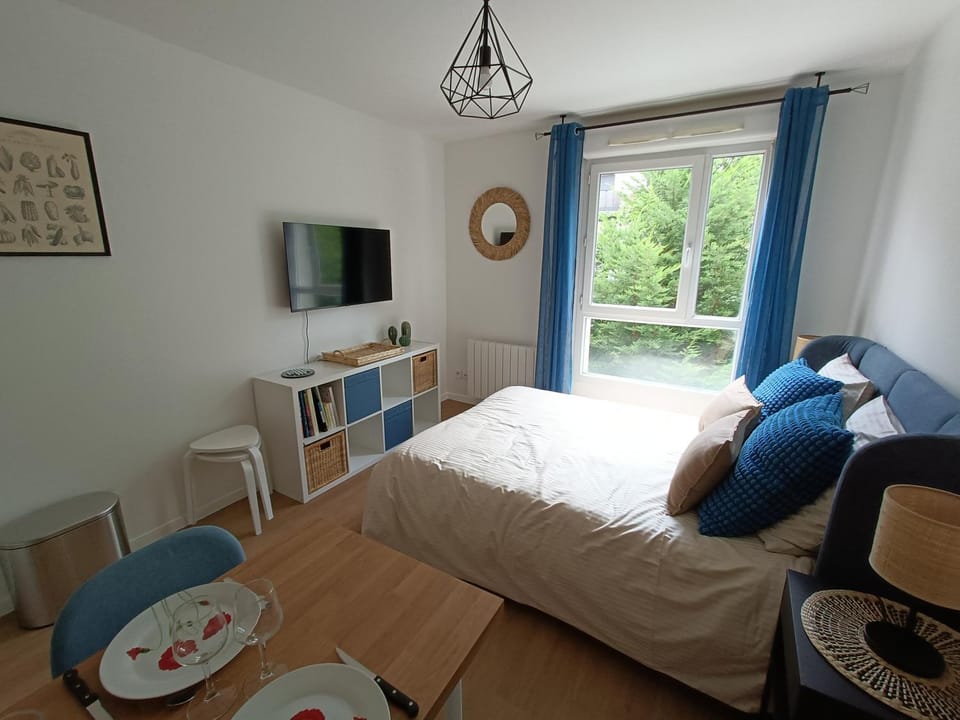 Photo of the whole room