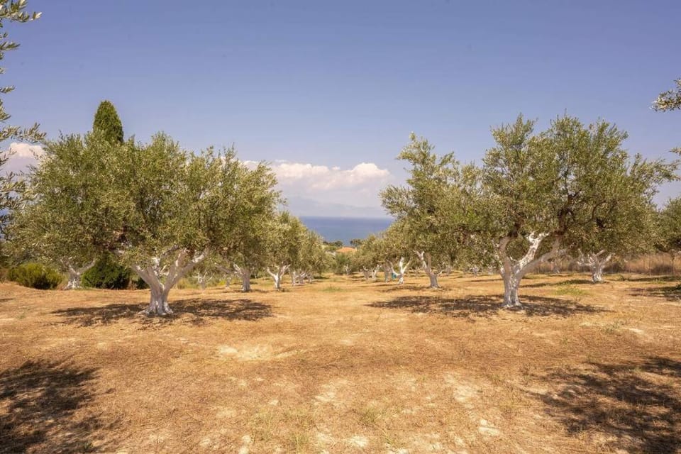 Viola's petite paradise House in Messenia