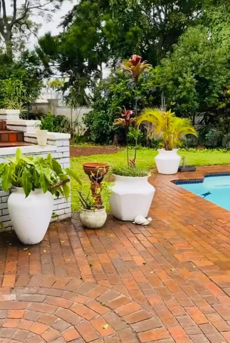 Garden, Swimming pool