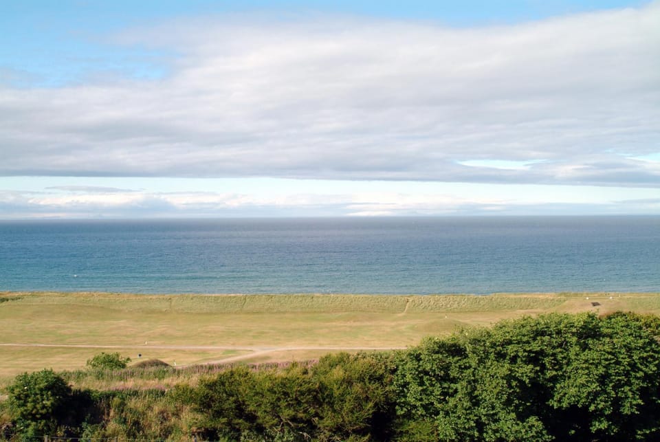 Golfcourse, Area and facilities