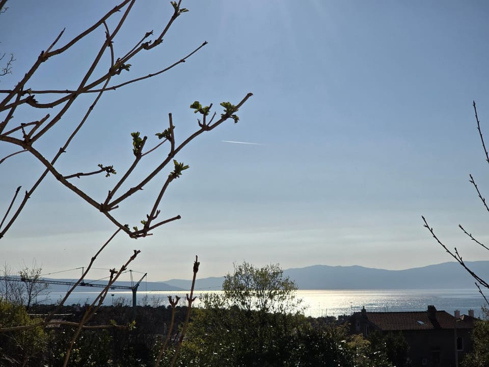 Day, Natural landscape, Garden, Sea view