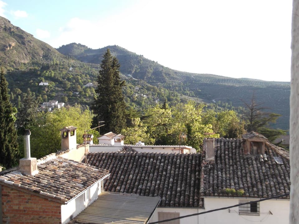 City view, Area and facilities