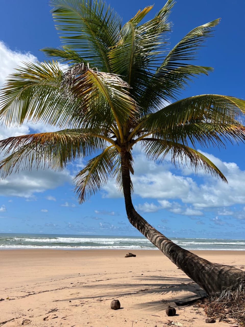 Day, Beach, Sea view
