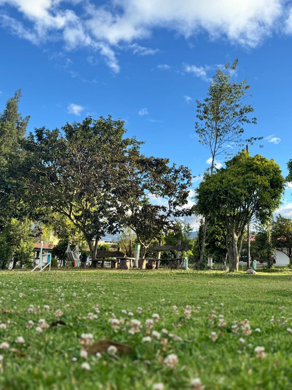 Natural landscape, Garden, Garden view