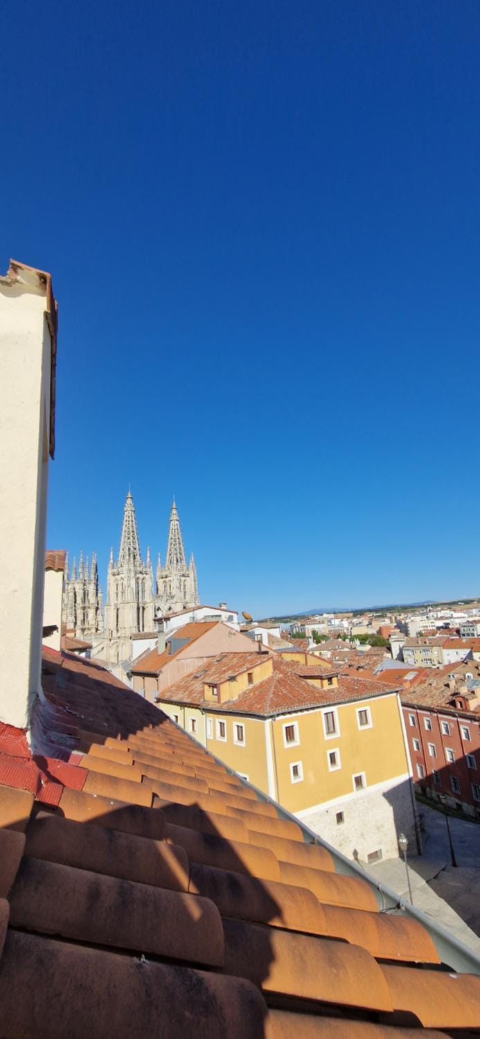 Junto a la Catedral Apartment in Burgos