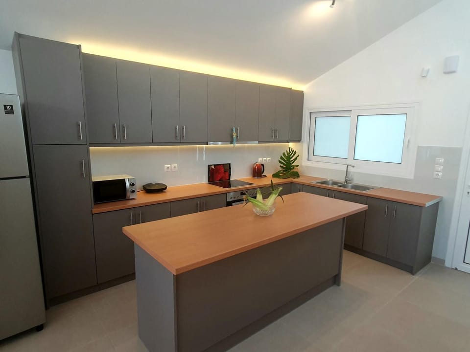 Kitchen or kitchenette, minibar, pet friendly, stove