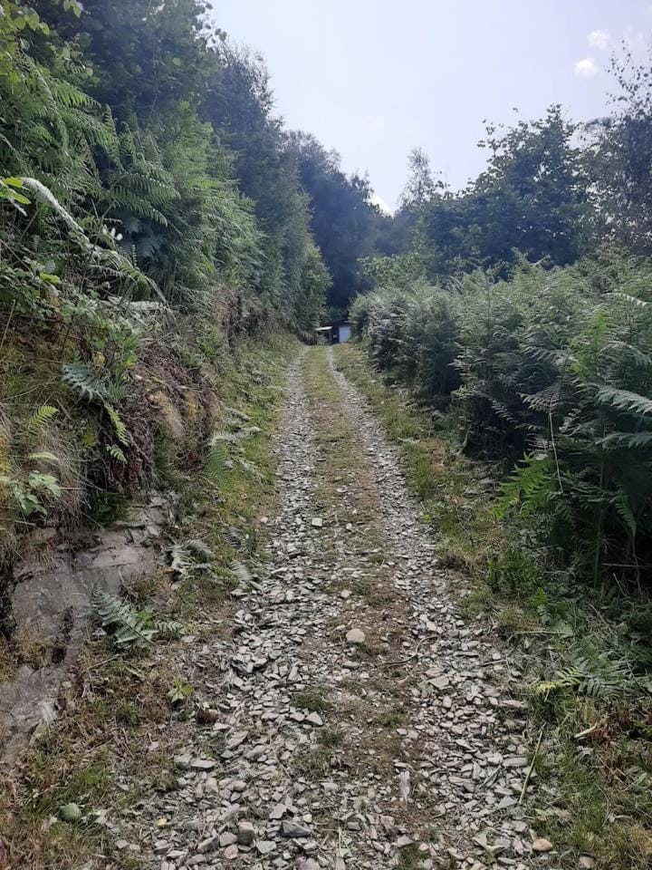 Yn Y Coed Tanyrallt Luxury tent in Wales