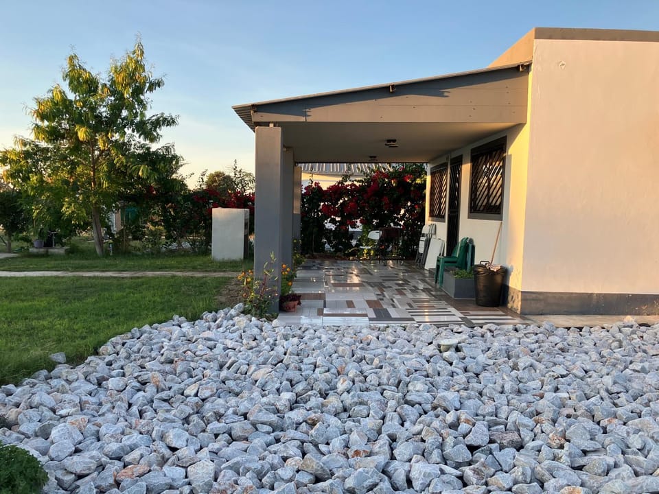 Property building, Spring, Day, Garden, Garden view