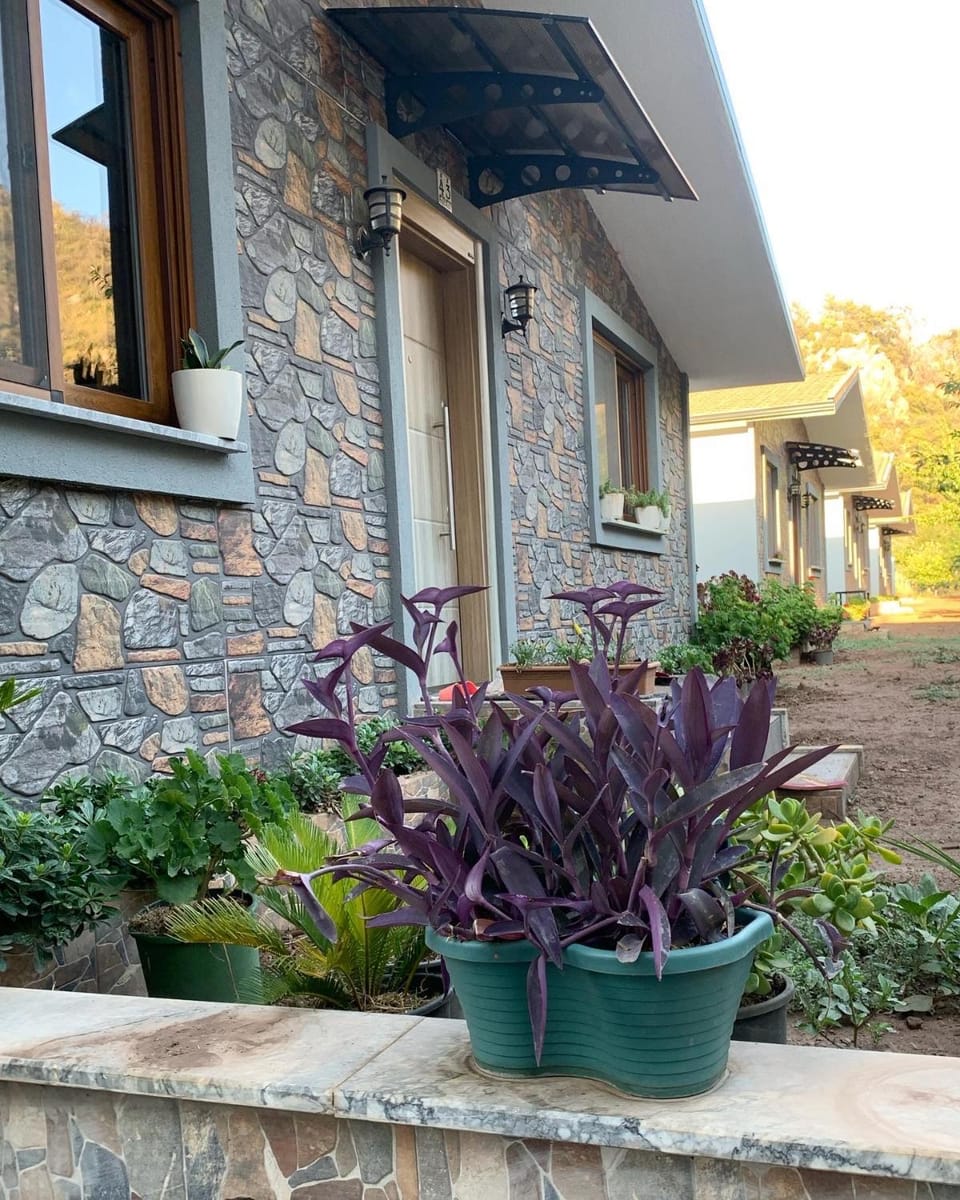 Garden, Garden view
