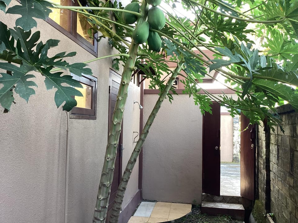 Balian Seaview Surf Villas Apartment hotel in West Selemadeg