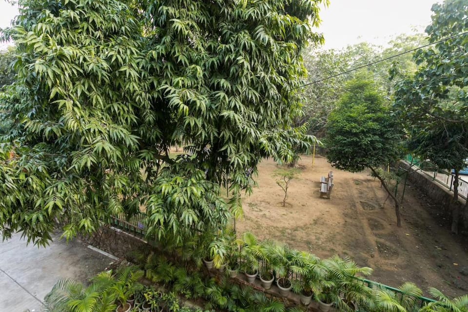 Garden view