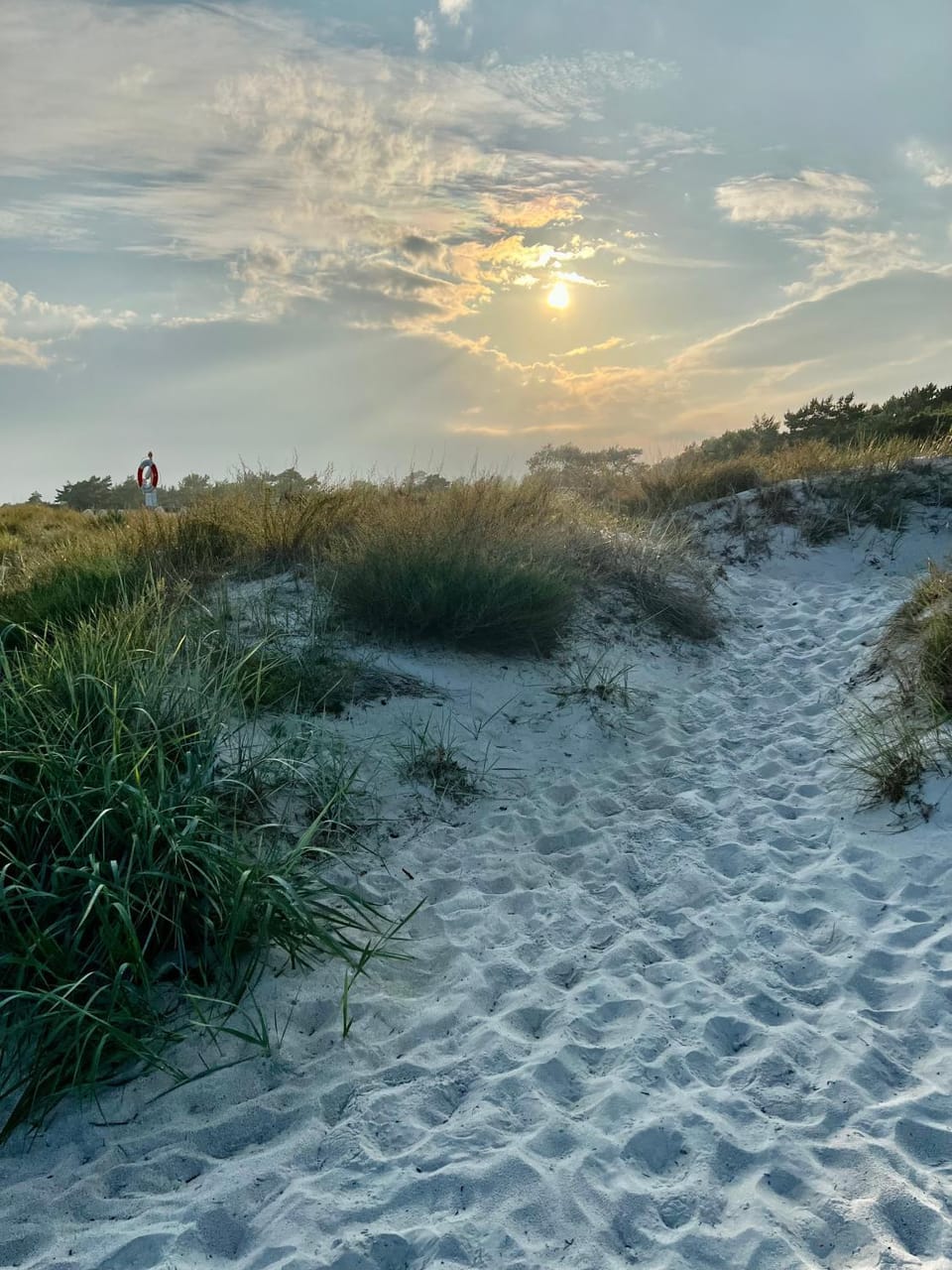 Natural landscape, Beach