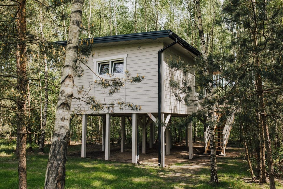 Domek w drzewach w Siedlisku Polanka Chalet in Masovian Voivodeship