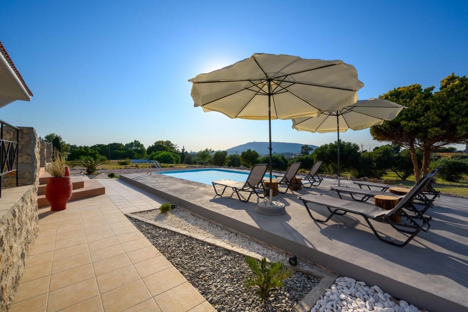 Patio, sunbed
