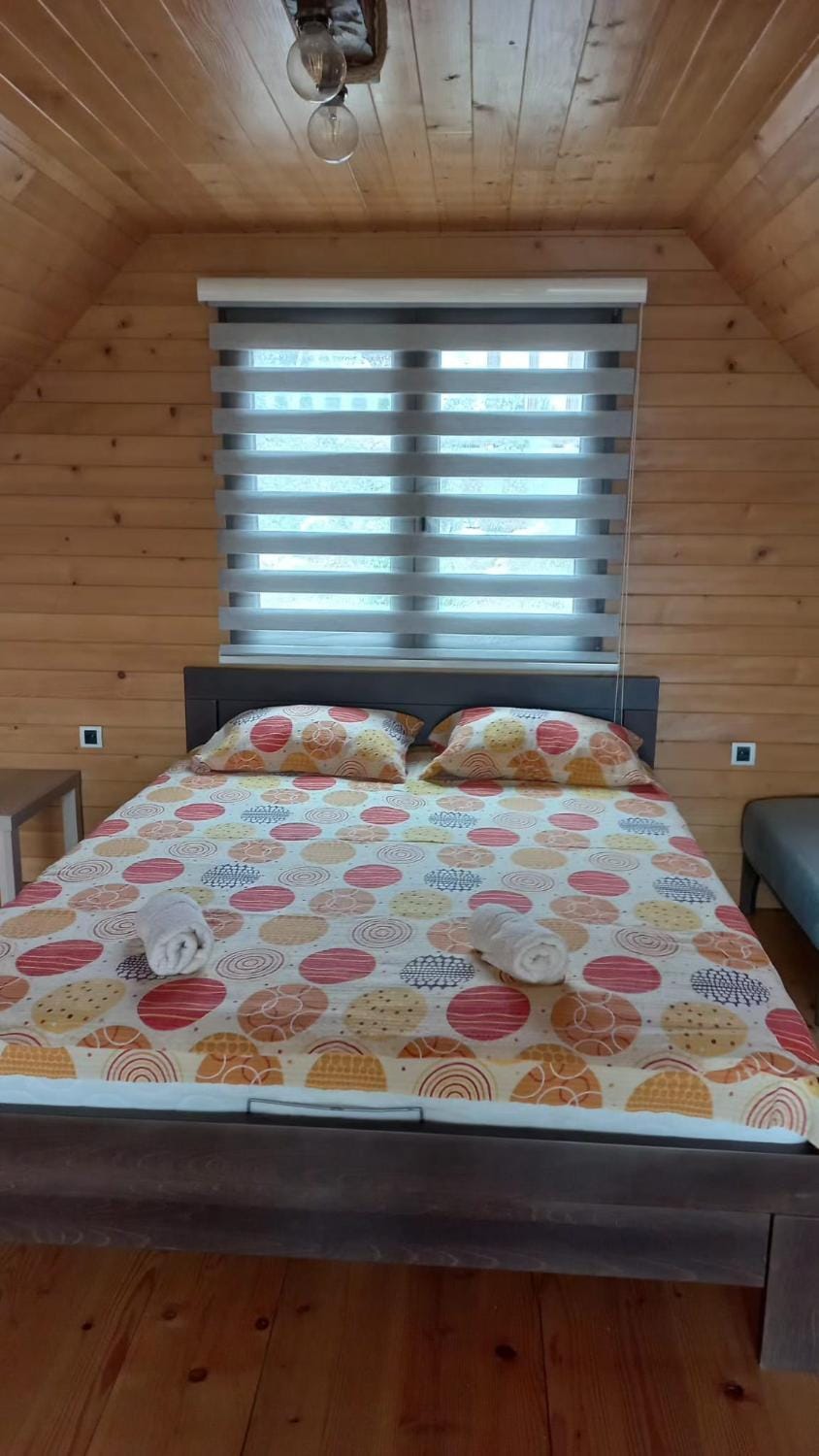 Brvnare Libero TARA House in Zlatibor District, Serbia