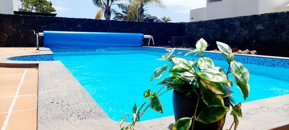 Day, Pool view, Swimming pool