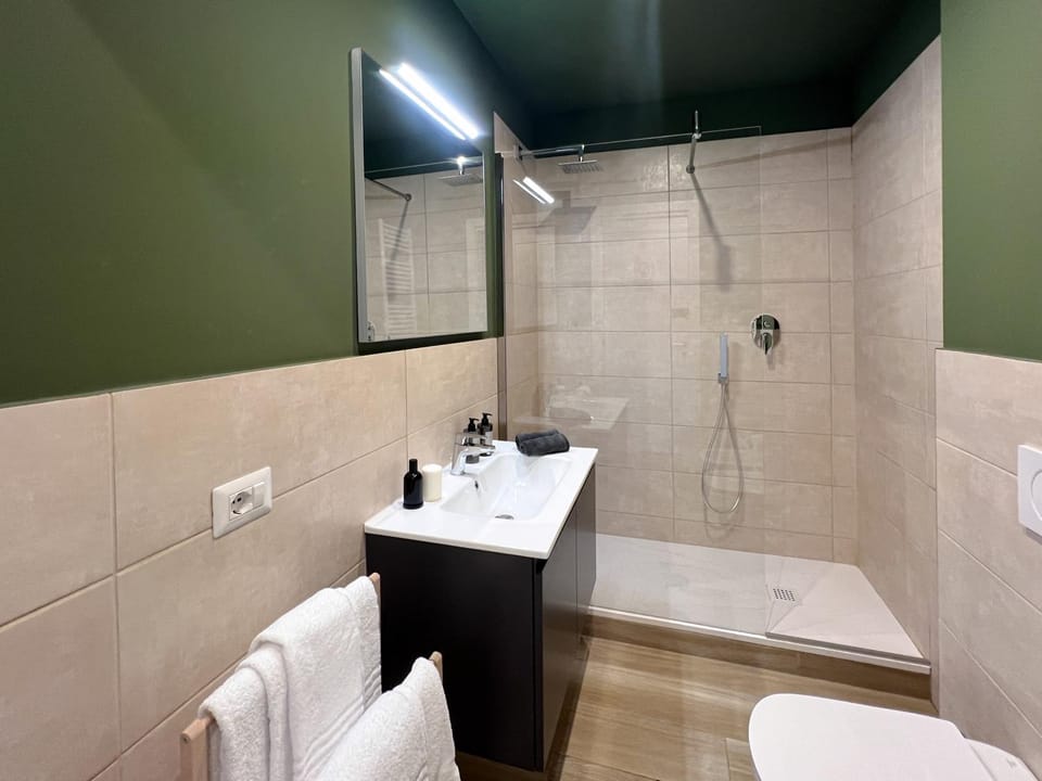 Shower, Toilet, Bathroom, towels
