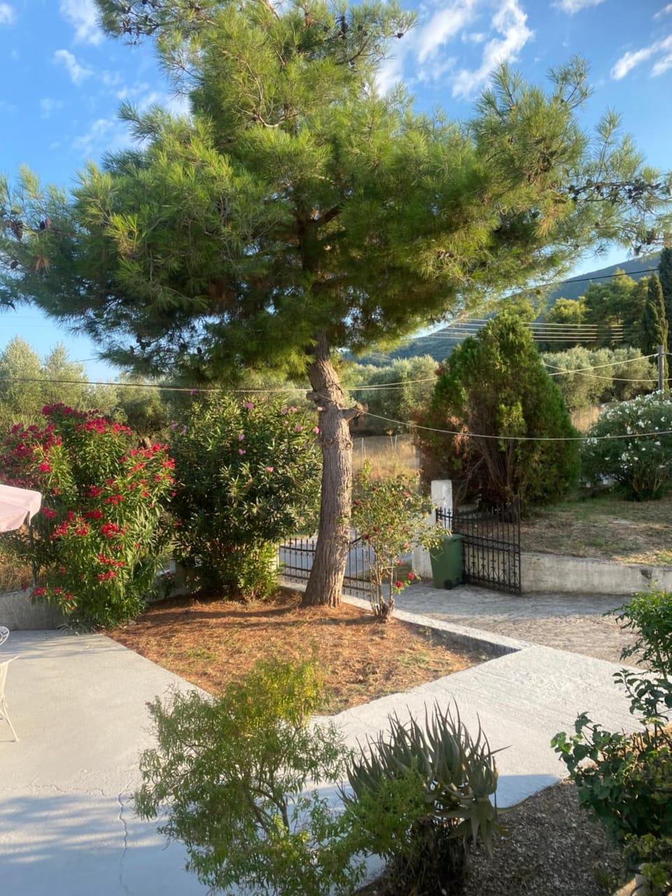 Natural landscape, Garden, Garden view, Landmark view