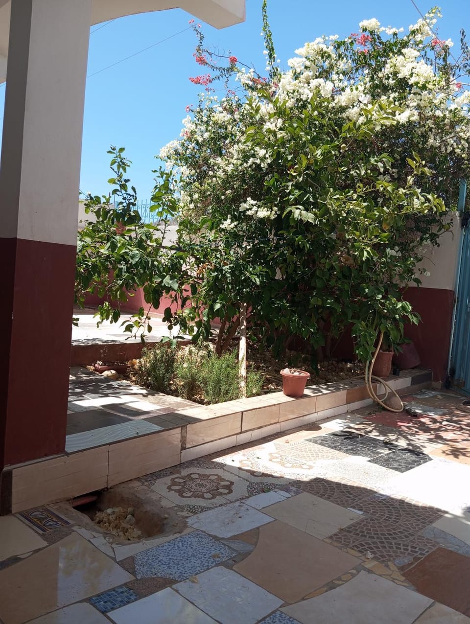 Facade/entrance, Garden