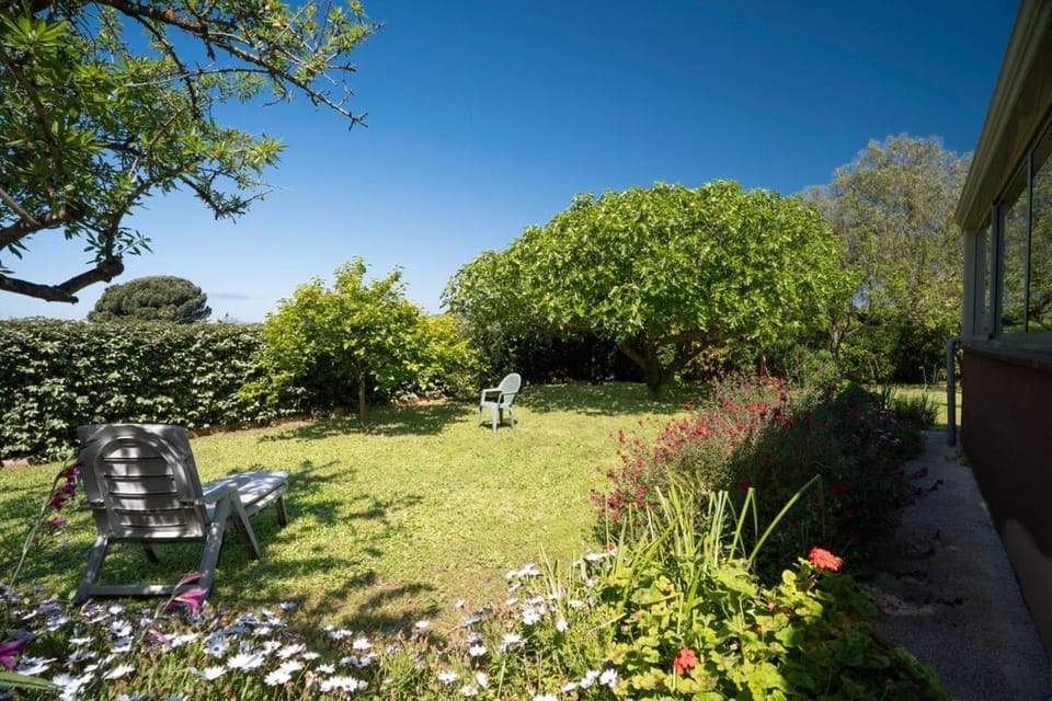 Spring, Day, Natural landscape, Garden, Garden view, sunbed