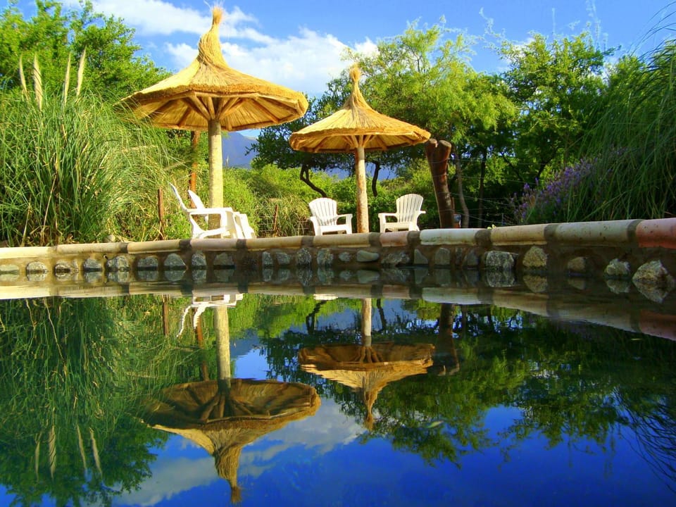 Swimming pool, Swimming pool