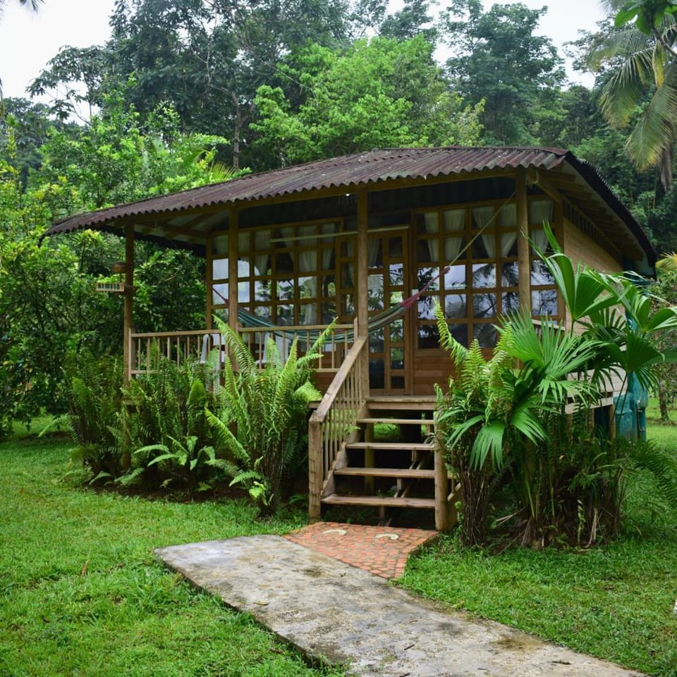 Playa Alegre Nature lodge in Choco, Colombia