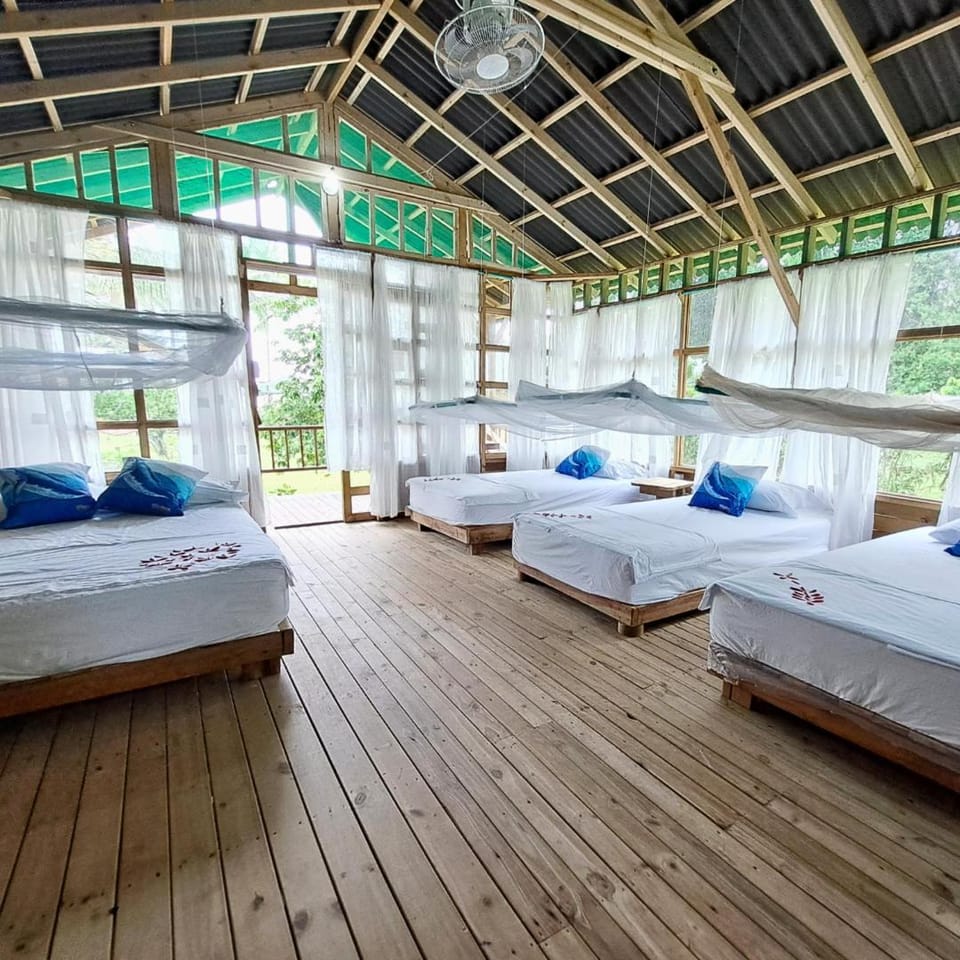 Playa Alegre Nature lodge in Choco, Colombia