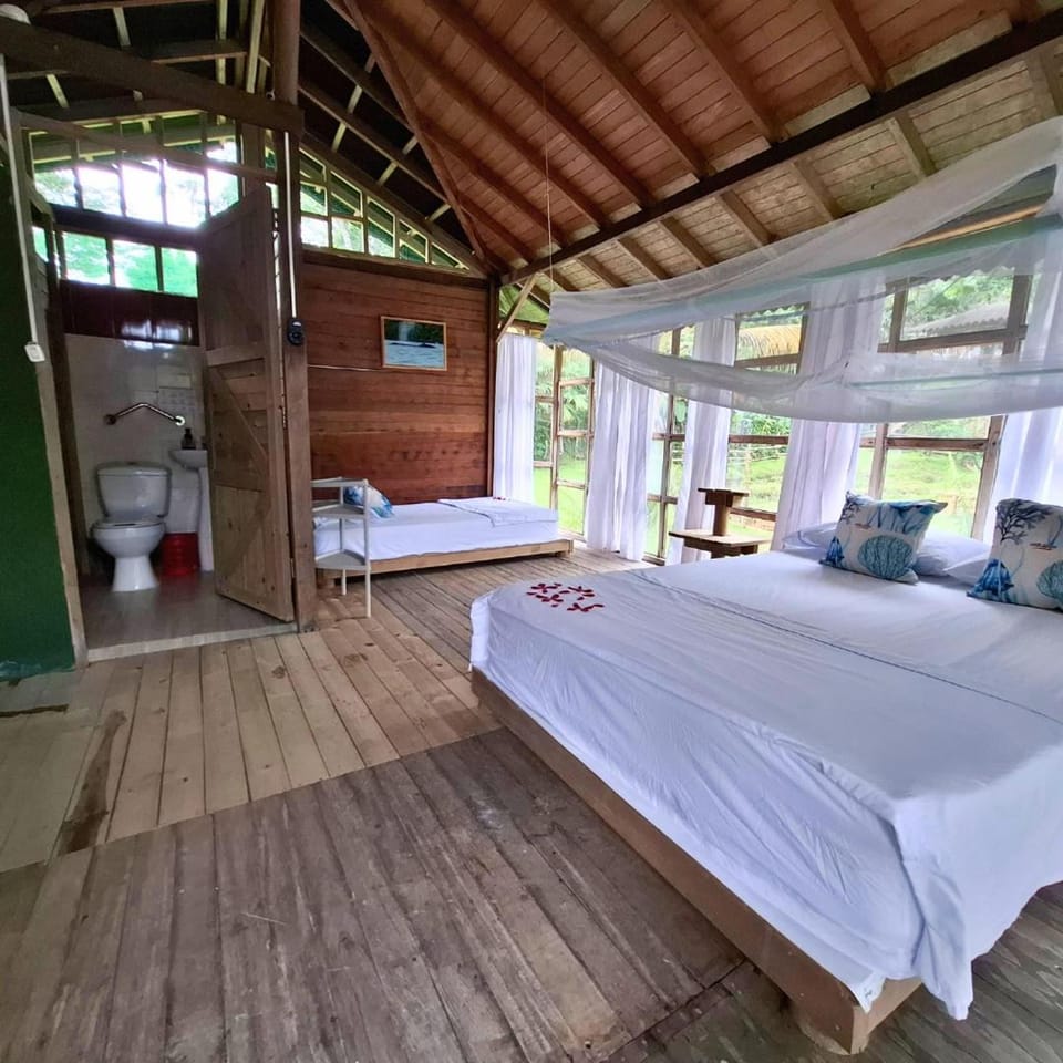 Playa Alegre Nature lodge in Choco, Colombia