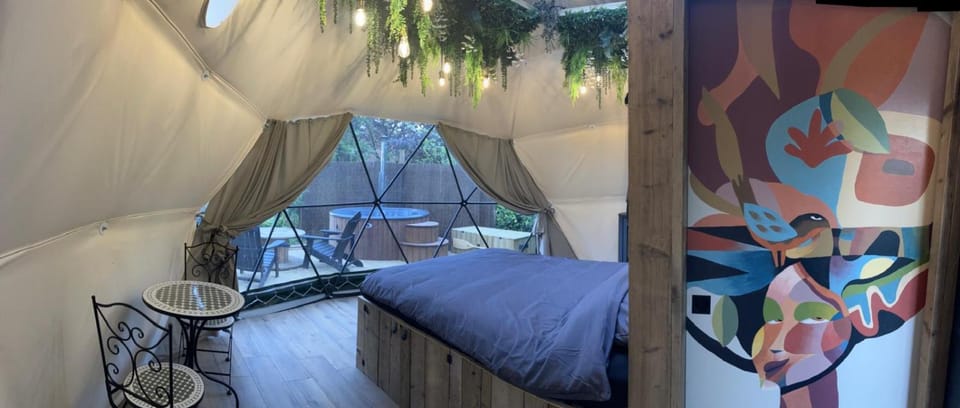 Bed, Photo of the whole room