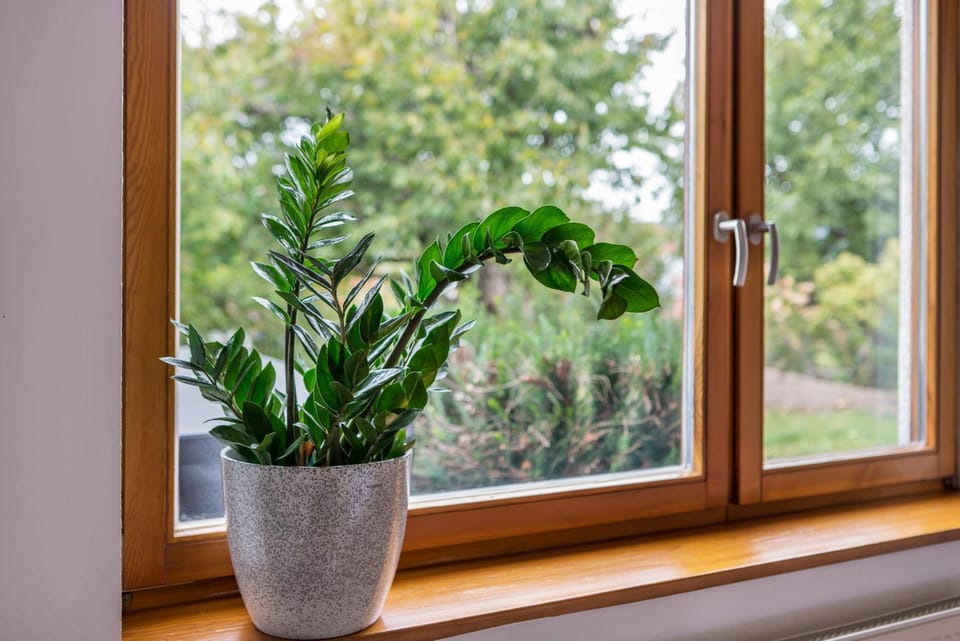 Haus Gartenblick Apartment in Rhineland-Palatinate